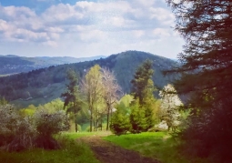 View of the Słonne Mountains Landscape Park