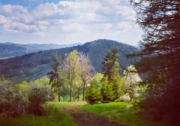 Widok na Park Krajobrazowy Gór Słonnych