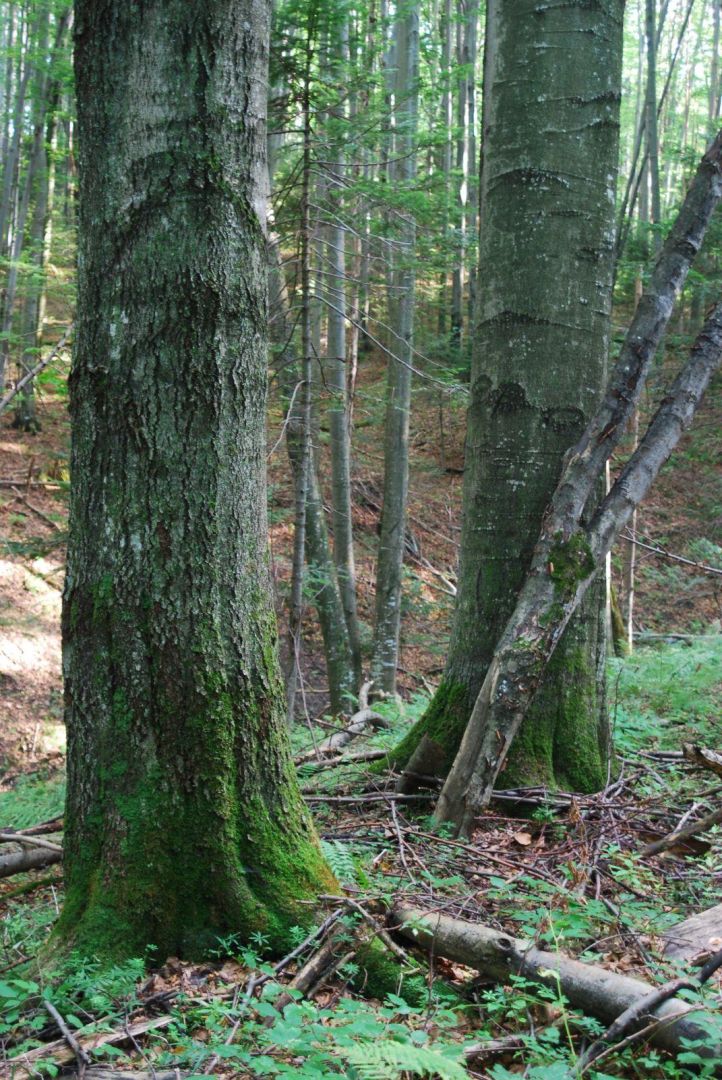 Na Oratyku nature reserve