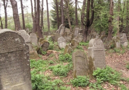 Widok ogólny cmentarza