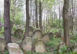 Cmentarz żydowski Kirkut - Lesko