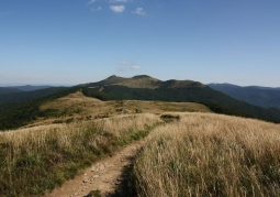 View of the trail leading through Połonina