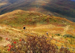 Bukowe Berdo - Bieszczady National Park