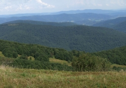 Jawornik range, view from Połonina Wetlińska