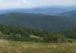 Pasmo Jawornika, widok z Połoniny Wetlińskiej