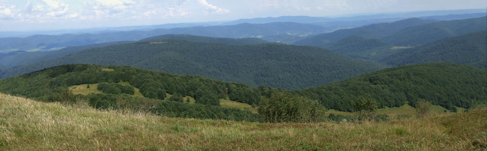 Pasmo Jawornika, widok z Połoniny Wetlińskiej