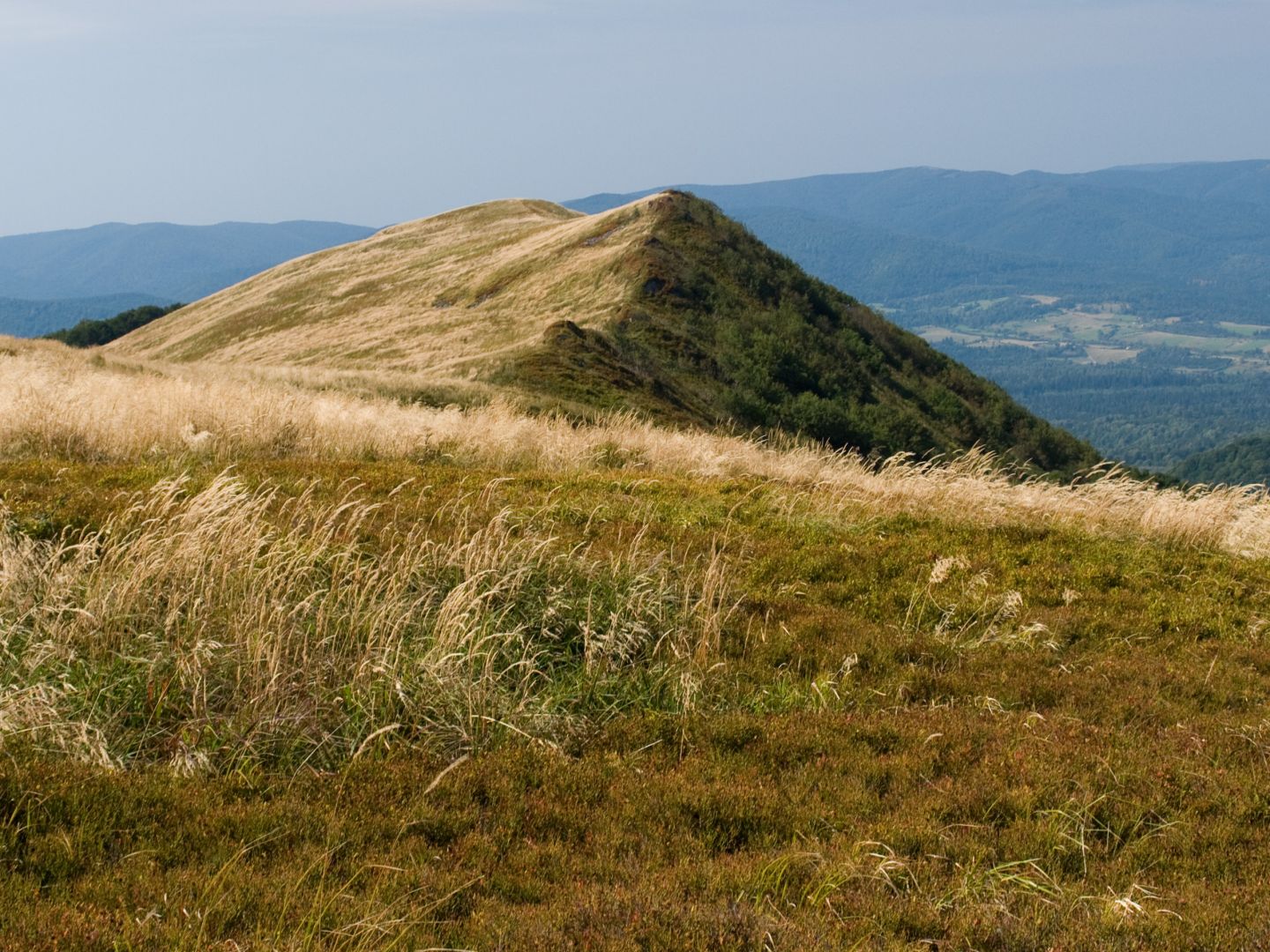 Widok od wschodu