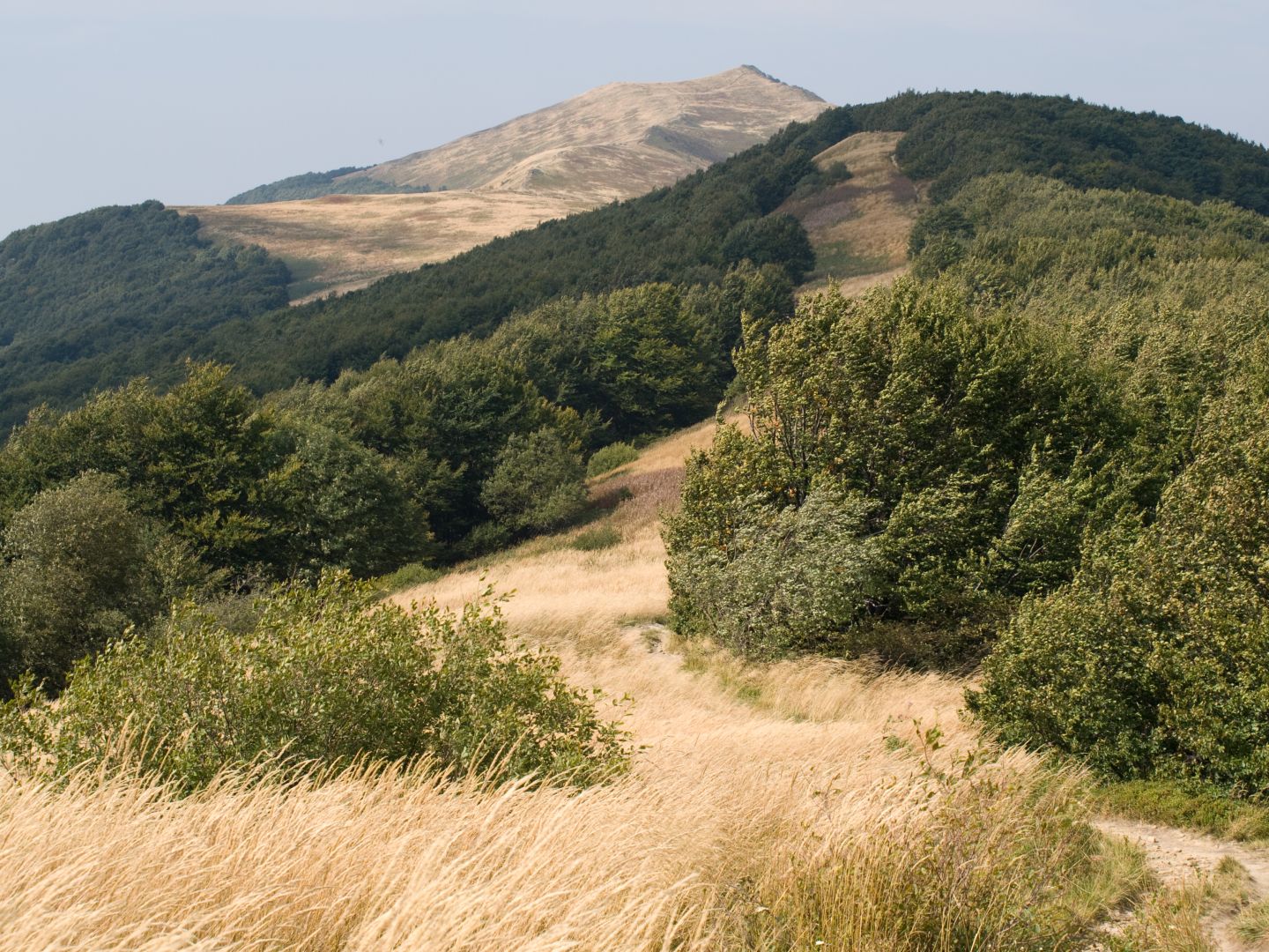 Gray Berdo, Smerek in the distance