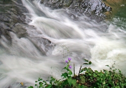 Kasarda Waterfall in Osława