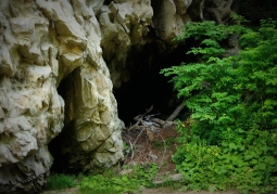 Entrance to the cave