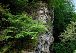 Jahybta Cave - Rosolin