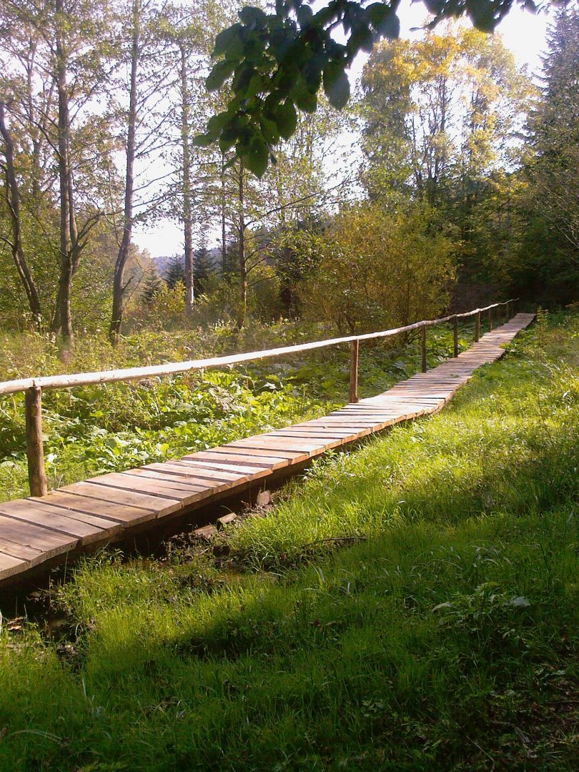 Footbridge in the reserve