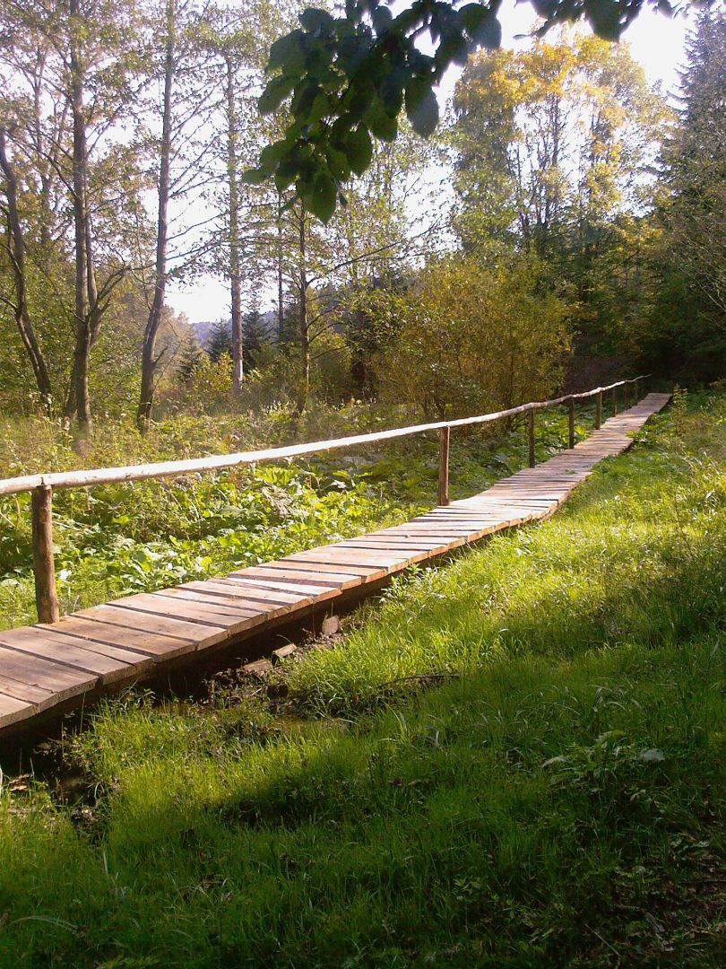 Mójka Nature Reserve