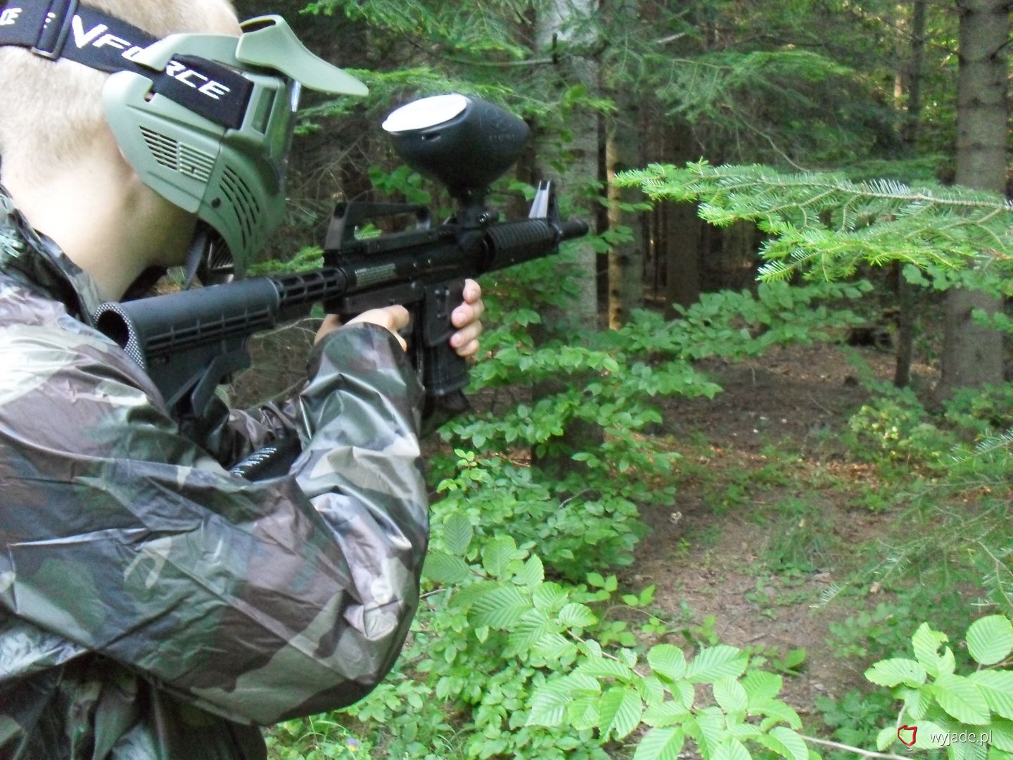 Paintball Forest Shooting Range