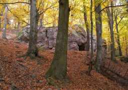 Rezerwat przyrody Kamień Michniowski - Sieradowicki Park Krajobrazowy