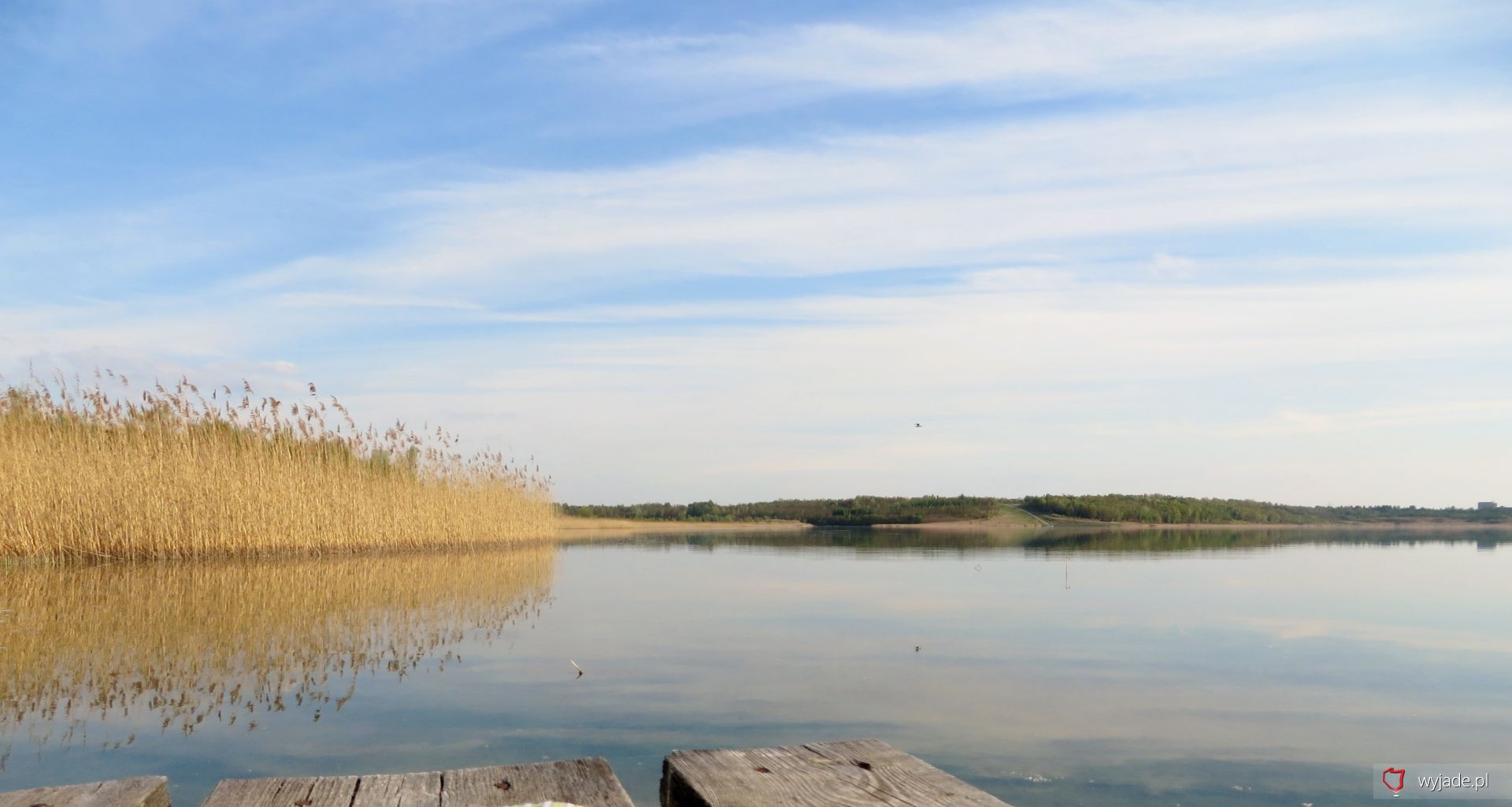 Jezioro Tarnobrzeskie