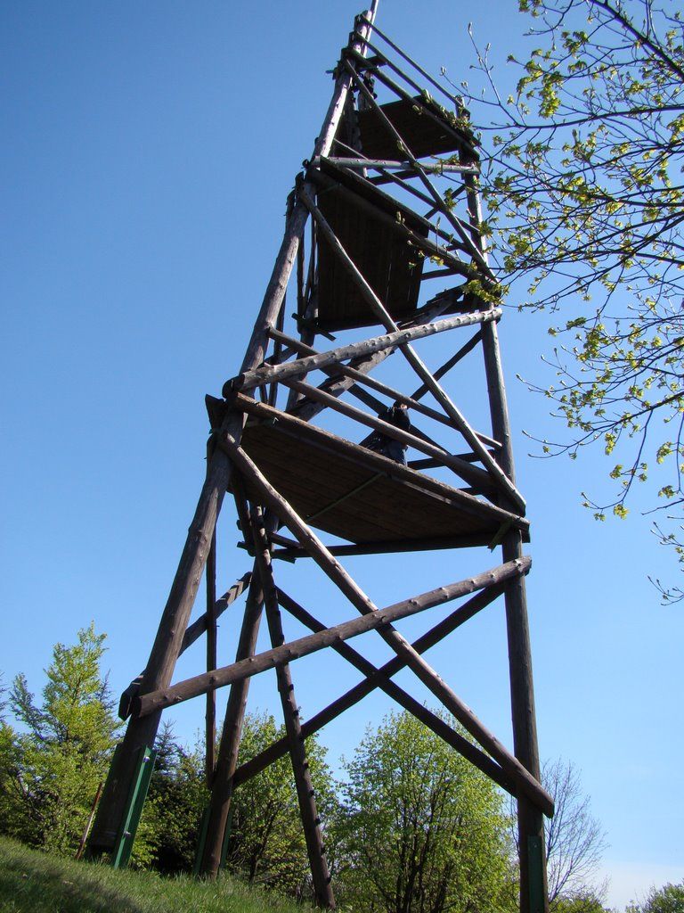 Observation tower on Mount Baranie