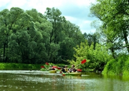 Canoeing on the Bug and Włodawka