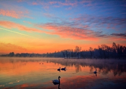 Sosina Lagoon - Jaworzno