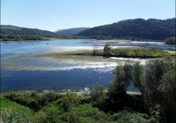 Czchowskie Lake