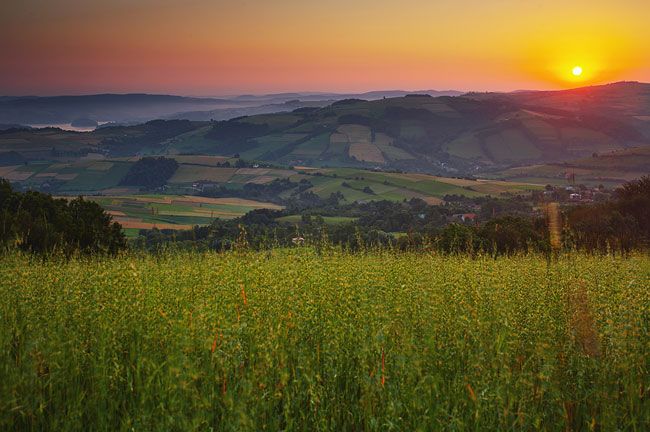 Rożnów Foothills