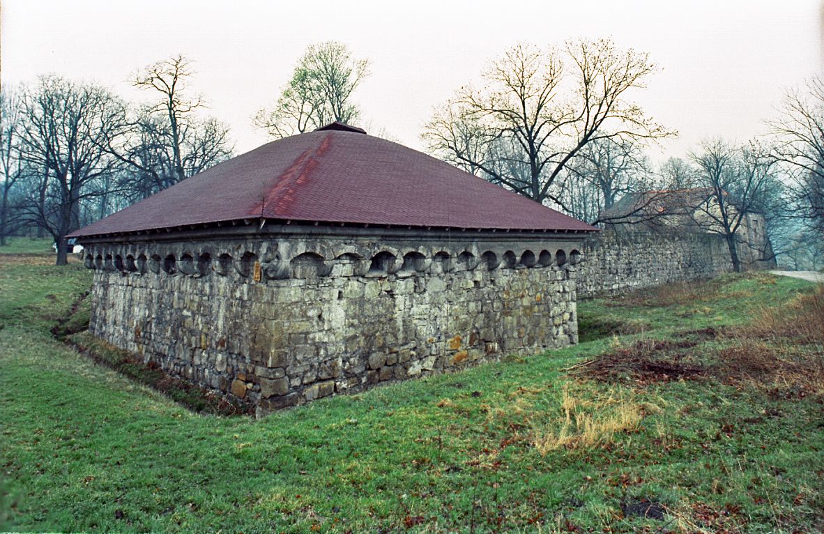 Castle in Rożnów
