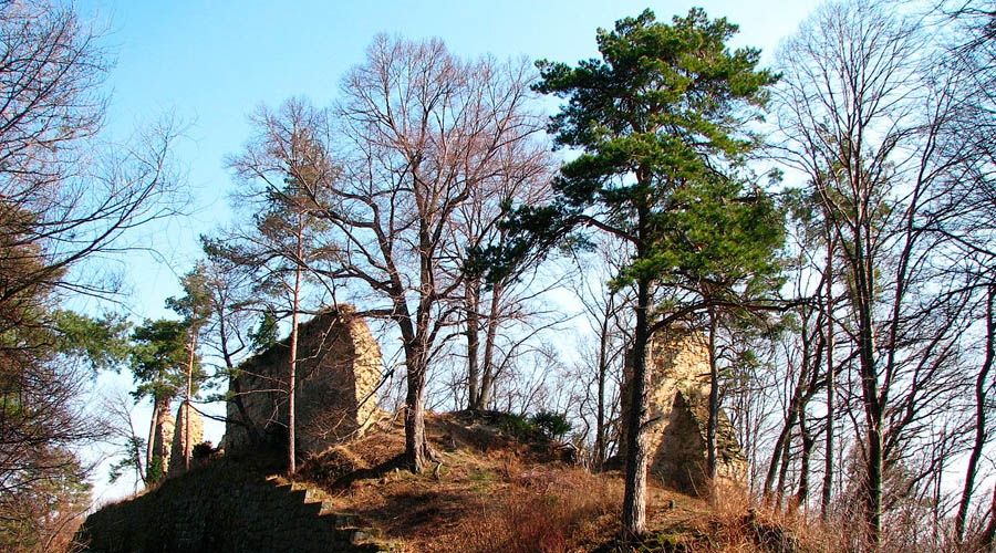 Castle in Rożnów