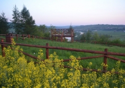 Lookout Na Winnicy - Dynów