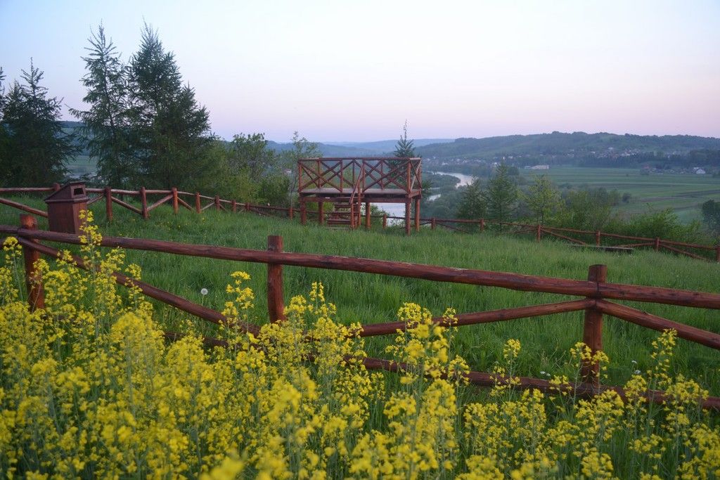 Dynów Winery