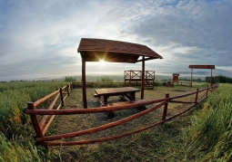 Lookout At the Katyn Cross in Dynów