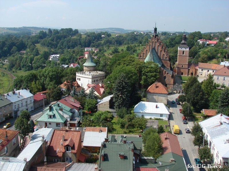 Viewpoint from the Town Hall Tower