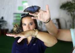 Museum of Live Butterflies