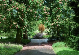 Ogród Botaniczny UAM Poznań