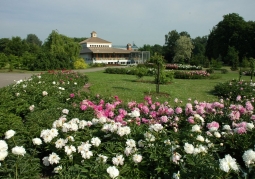 Ogród Botaniczny UAM Poznań