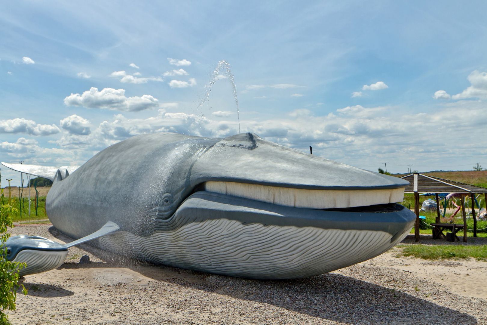 Whale Park