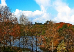 lake in autumn colors