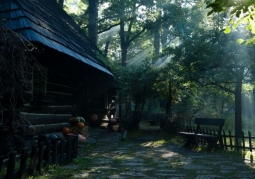 Homestead of the Pszczyna Village - Pszczyna