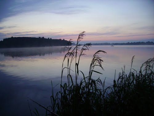 Maziarnia Lake (Wilcza Wola Lagoon)