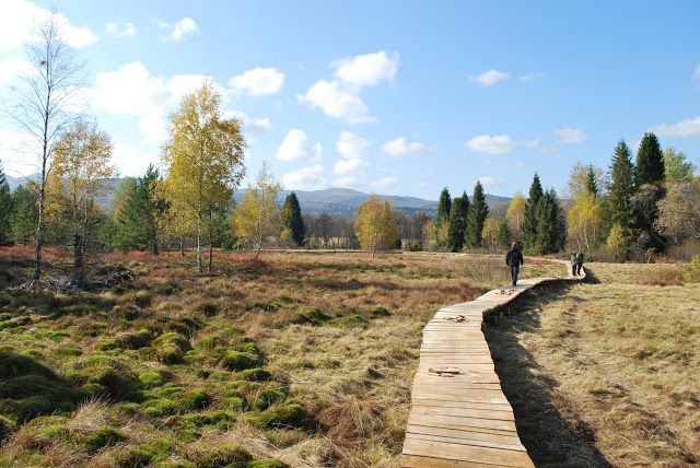 Footbridges on peat bogs