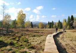 Footbridges on peat bogs