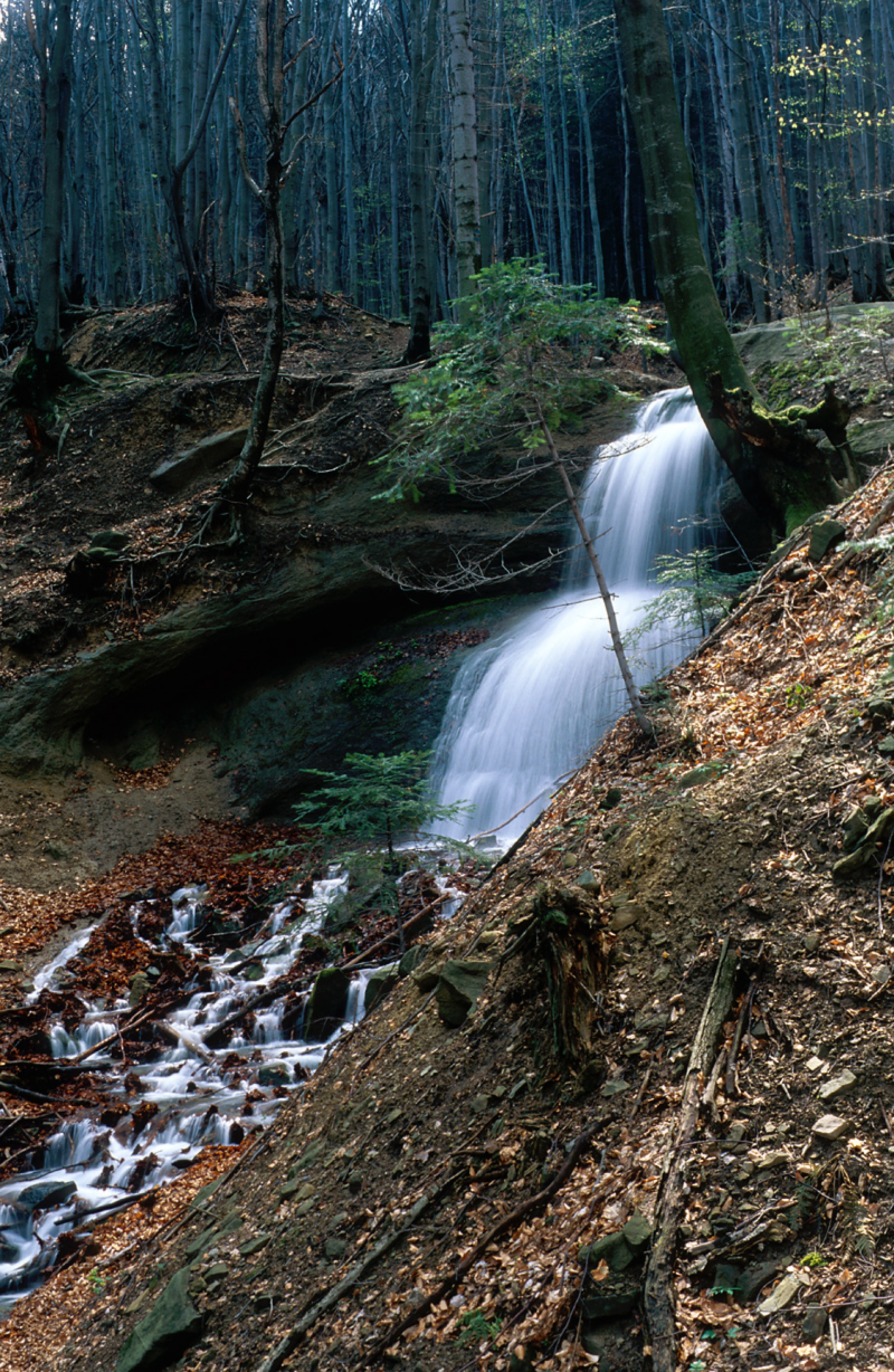 Magurski Waterfall