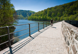 View from the dam