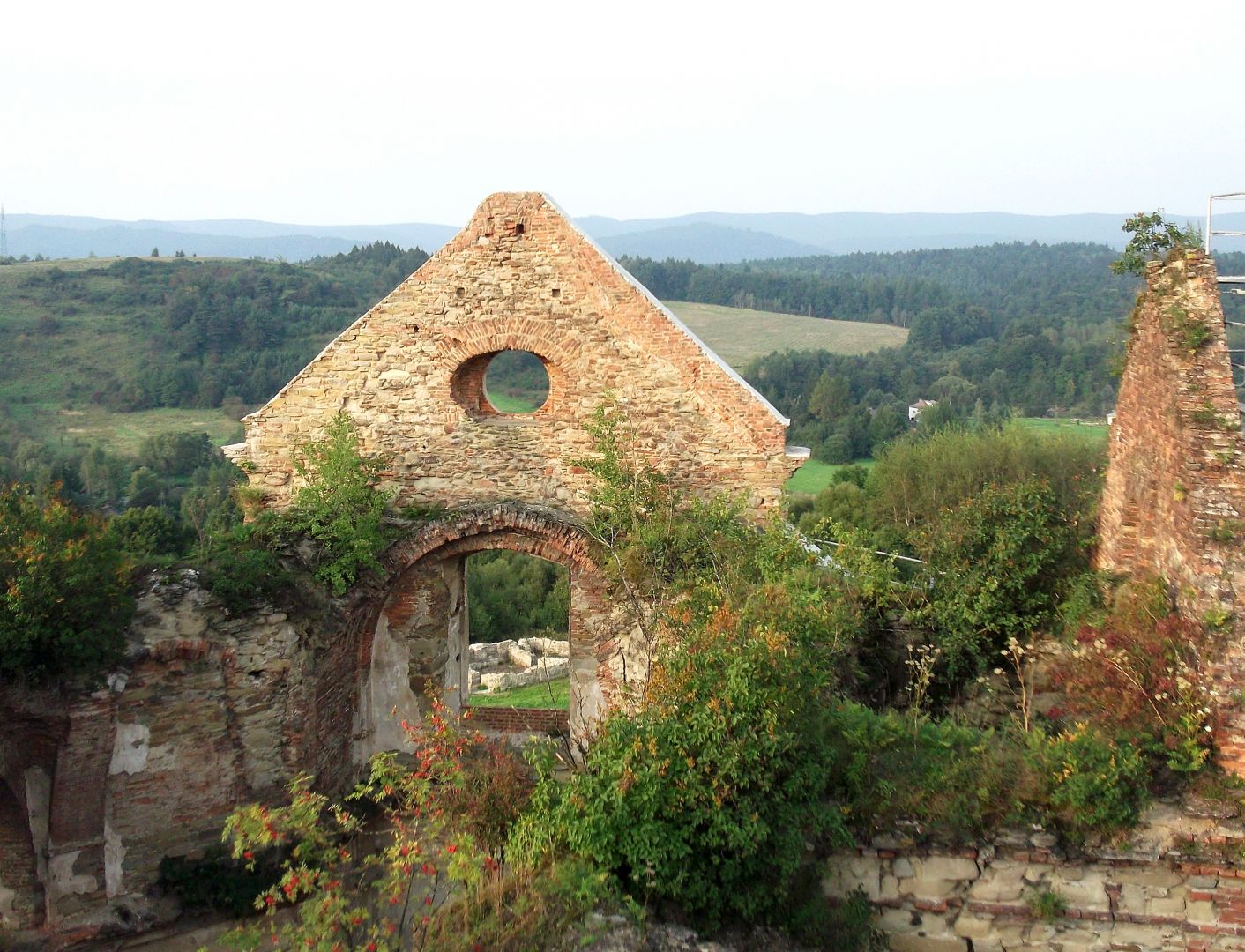 Ruiny klasztoru oo. Karmelitów Bosych