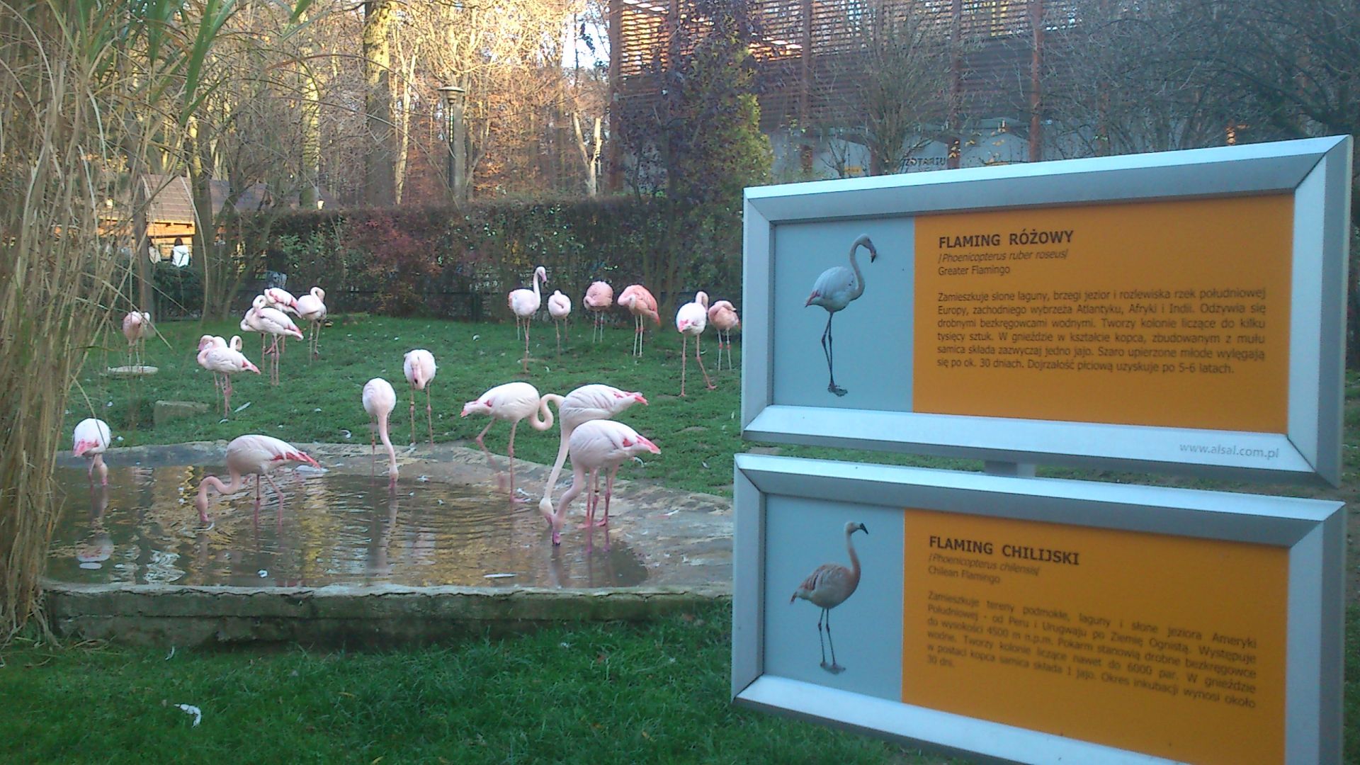 Krakow Zoological Garden