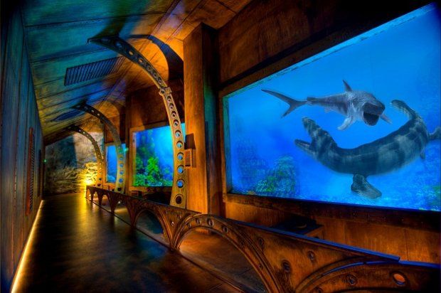 Prehistoric Oceanarium