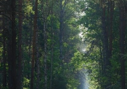 Sobiborski Park Krajobrazowy