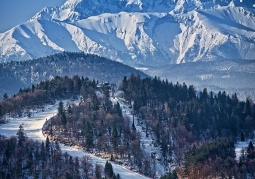 Palenica Ski Station - Szczawnica