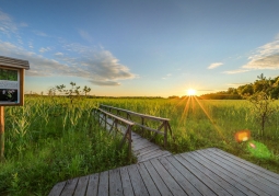 Polesie National Park