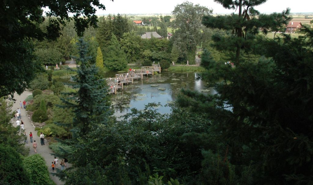 pond view