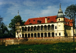 Pałac - widok z oddali